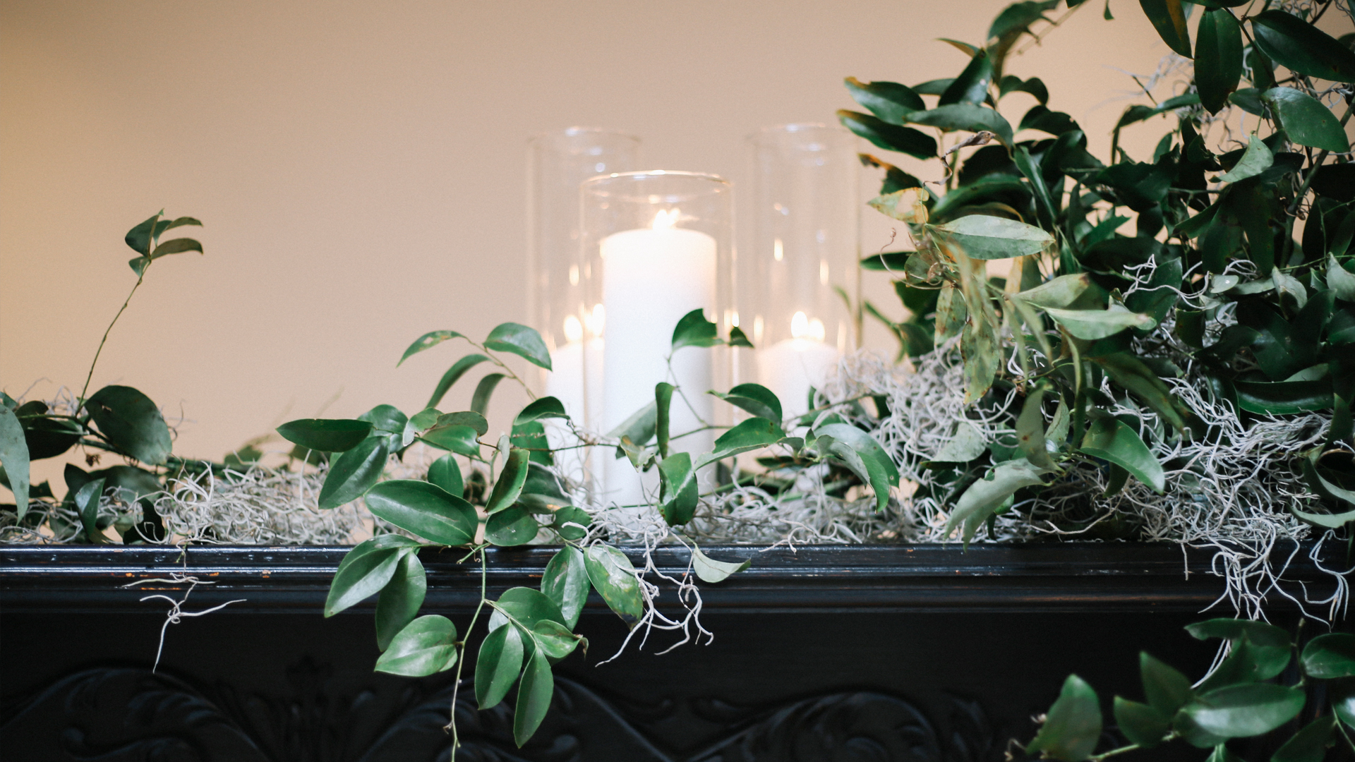 Picture of candle in a glass and Plants