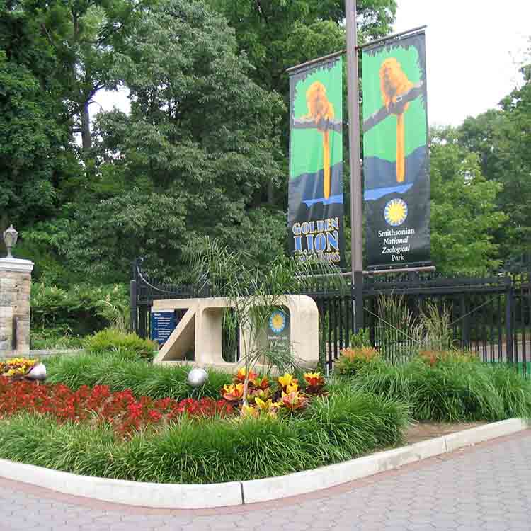 Sign board of Golden Lion at the entrance with many trees and plants