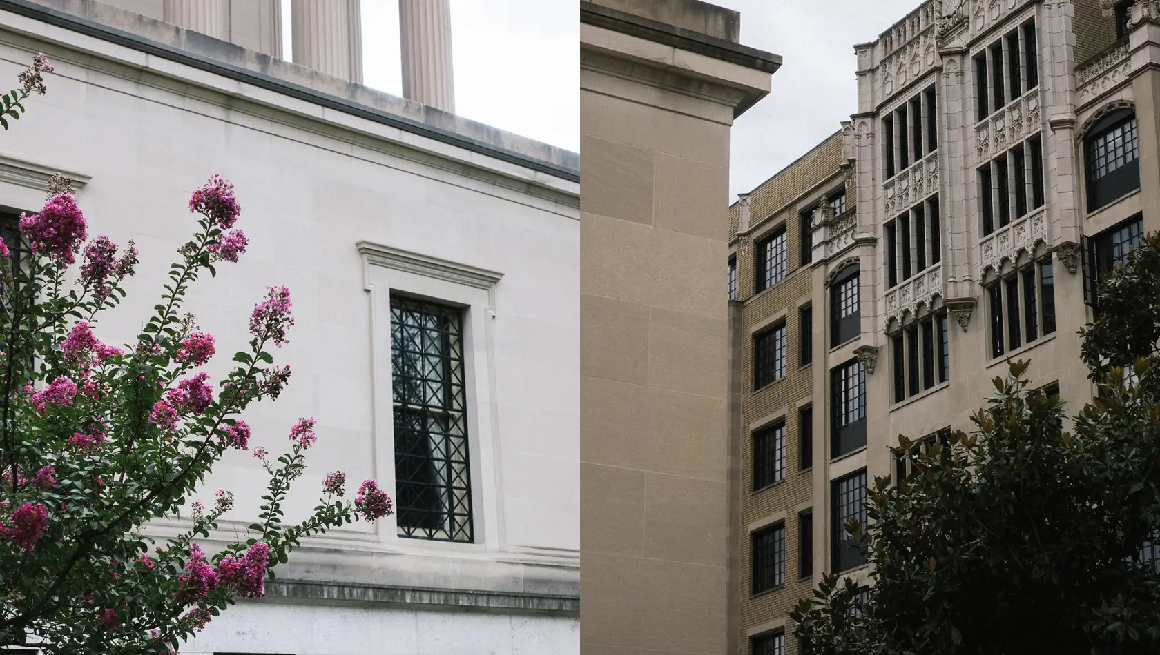 White building with cream building colour