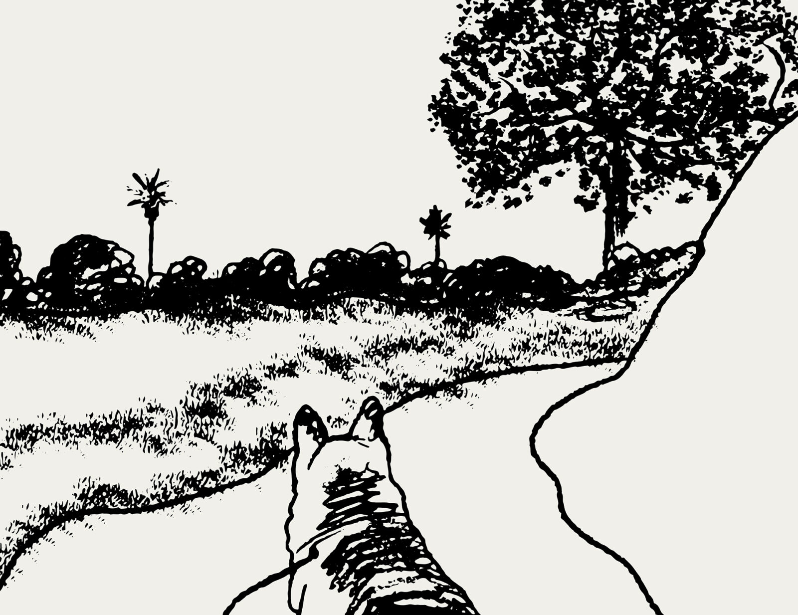 A hand-drawn picture of dogs walking between the grass and trees, created using black ink on a light grey surface.