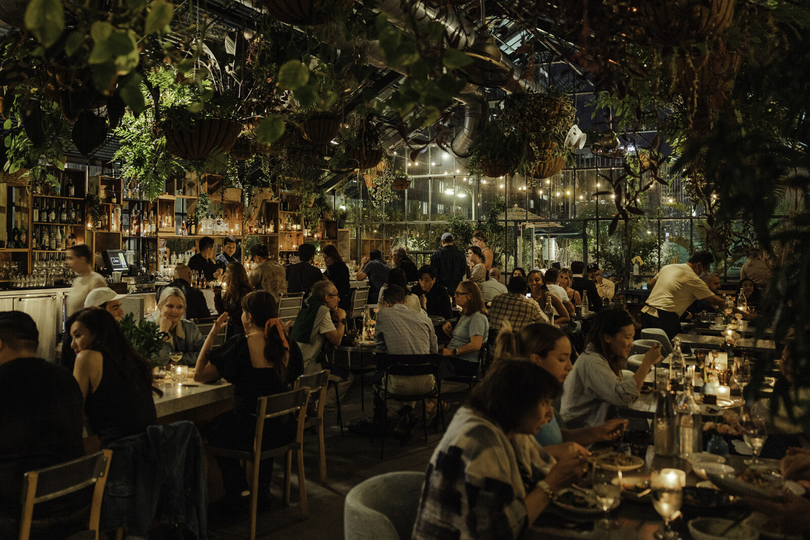 There are many people enjoying their dinner right beside the bar counter, while the roof is adorned with flower pots and small plants, creating a beautiful ambiance.