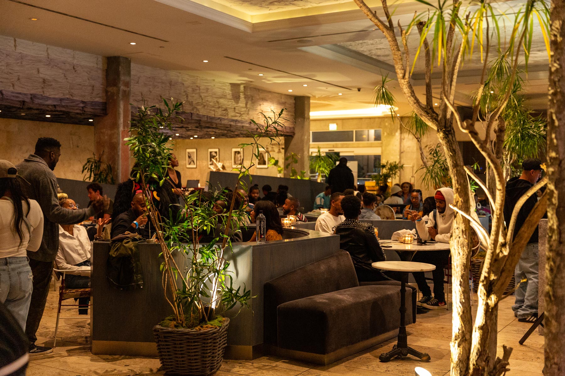 A hotel lobby with low lighting, potted plants, and people hanging out