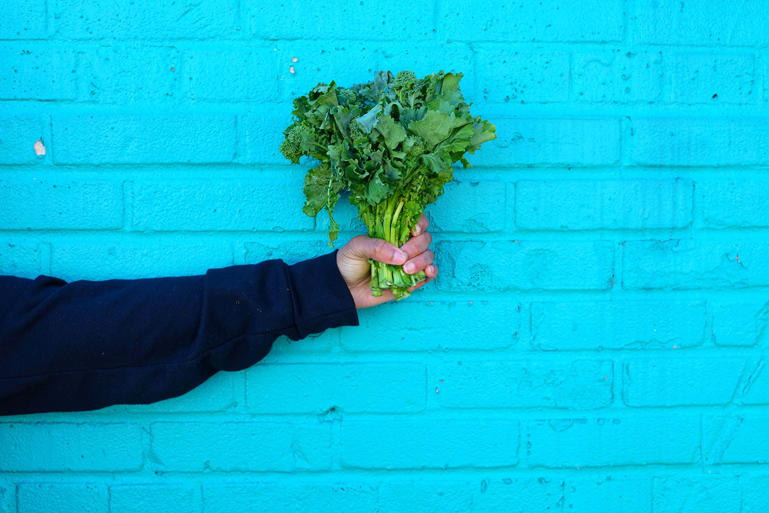 A person holding a bunch of green vegetables