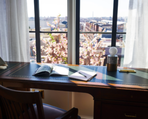 cherry blossom LINE DC