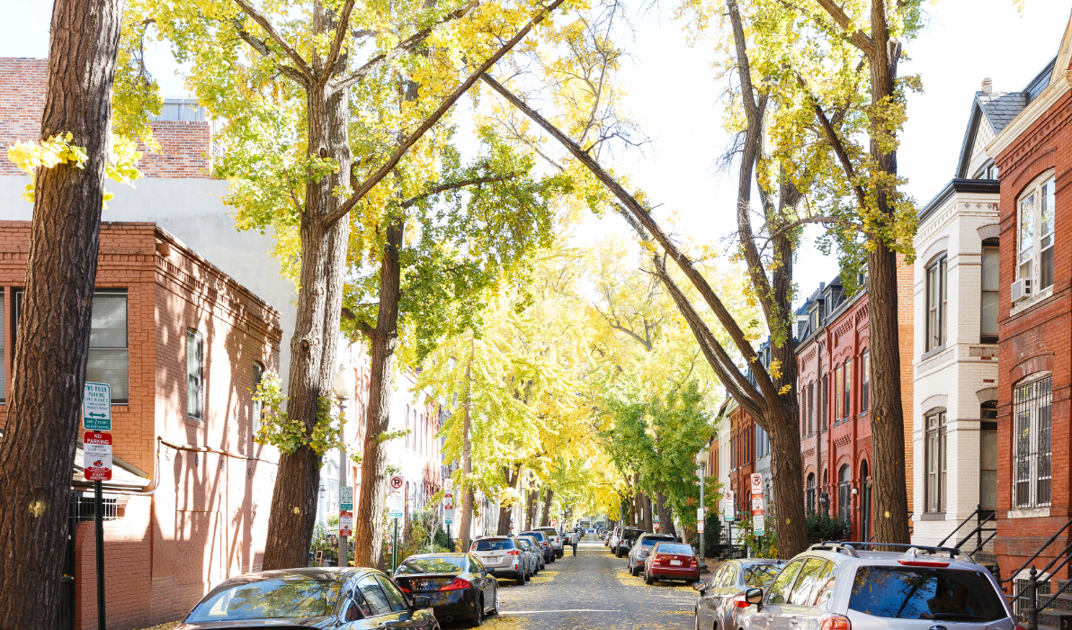 DC Adams Morgan neighborhood