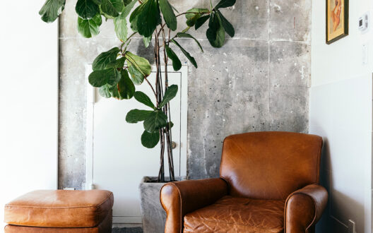 식물이 있는 소파 사진