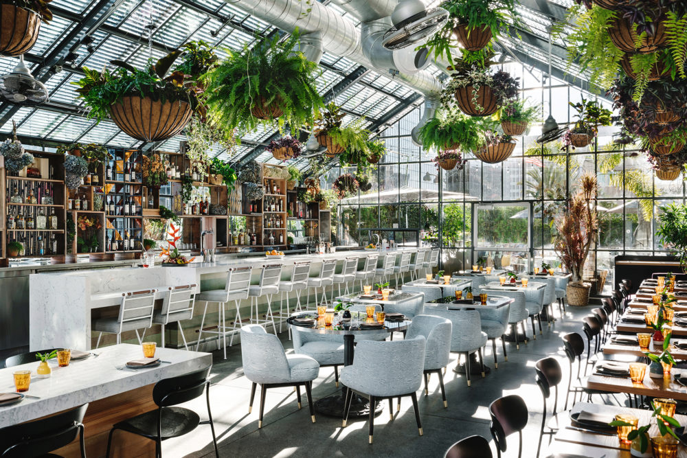 A spacious dining area with a bar, tables, and chairs under a glass ceiling with hanging plants.