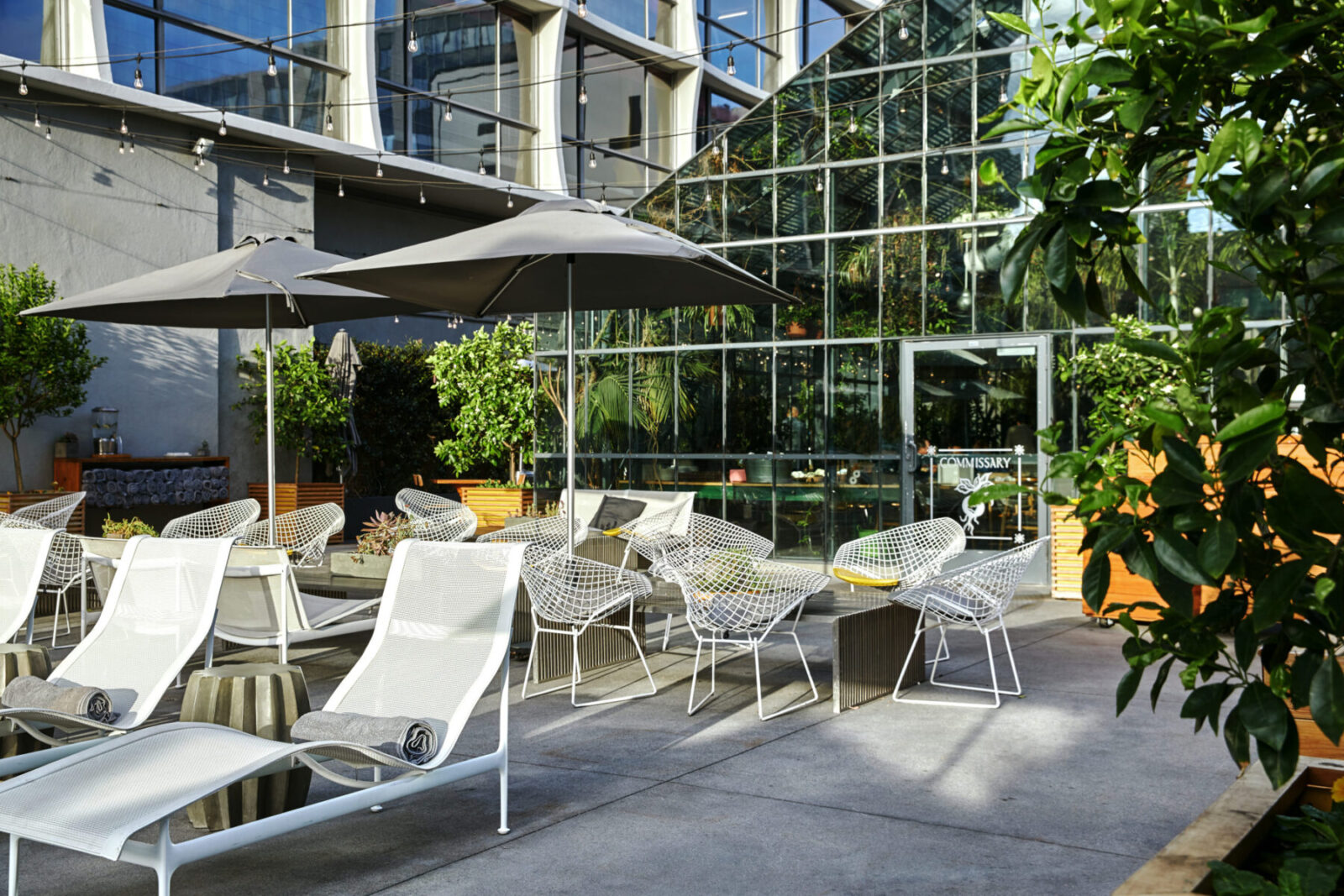 picture of chairs and tables out of restaurants with some plants