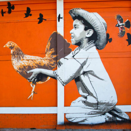 orange painted wall of a little kid with a hat holding a chicken with birds flying on top of them