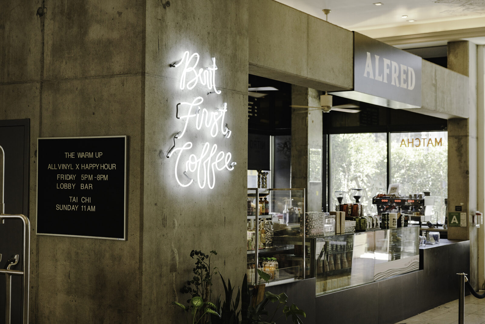 The Line Shayd Joohnson 9