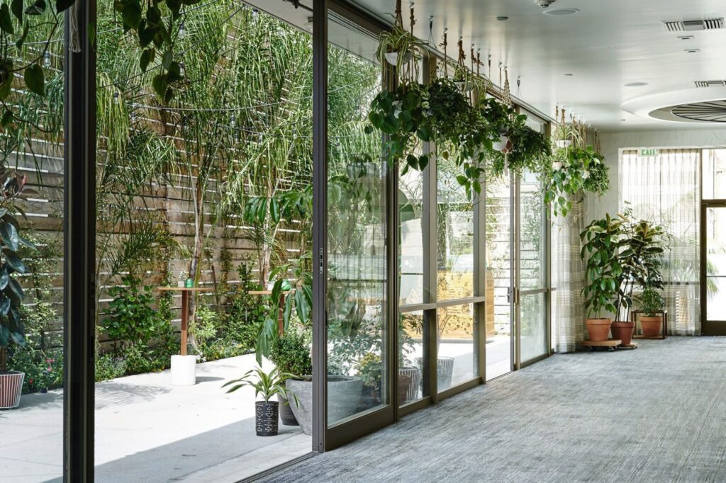Transparent Glass window with green plants
