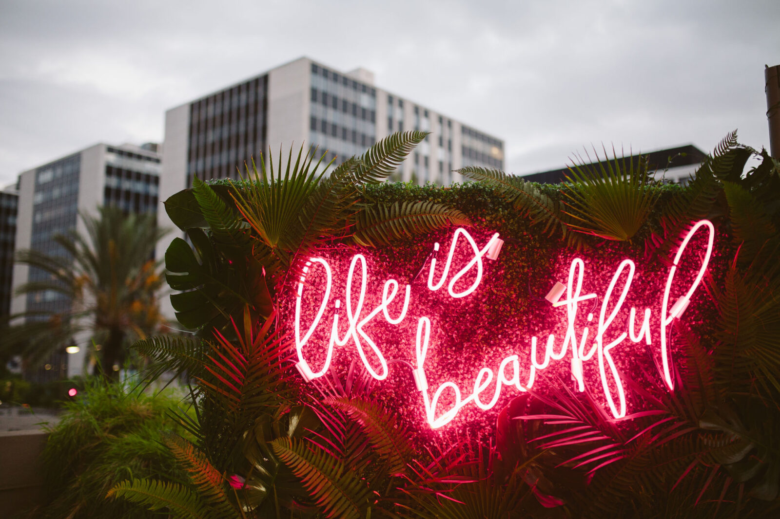 Life is beatuiful glowing logo on plants