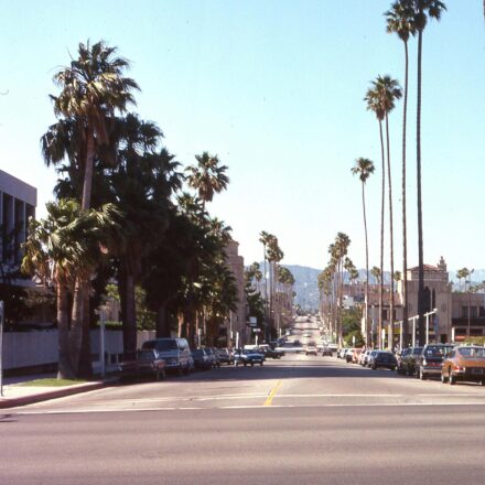 A palm tree-lined street on Melrose Avenue with parked cars and mountains in the distance.