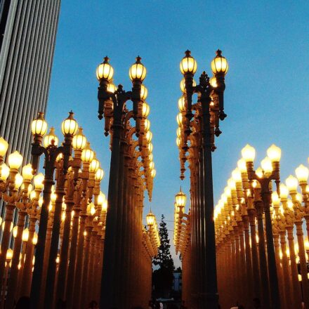 Rows of tall street lamps illuminated at dusk, likely part of the Urban Light installation at LACMA in LA