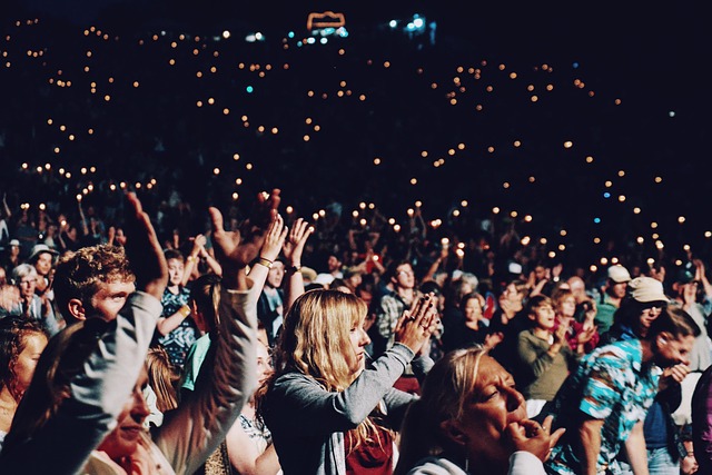 people in a concert