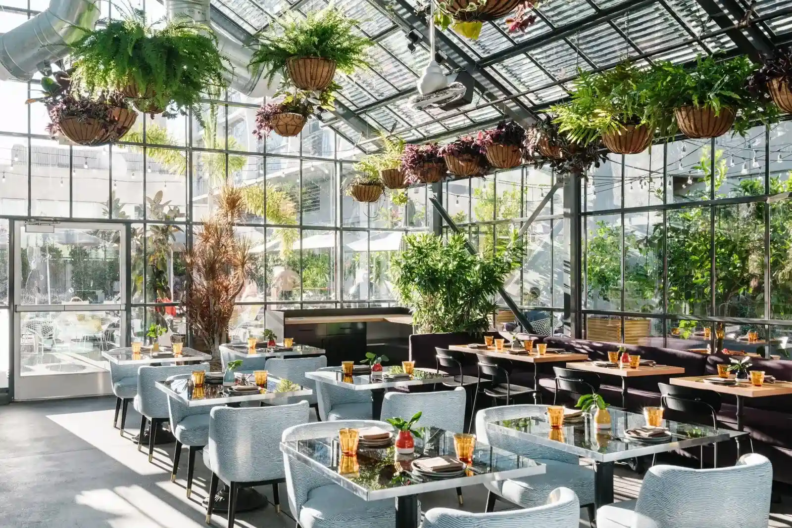 Greenhouse-style interior at Openaire restaurant with glass walls, hanging plants, and elegant table settings