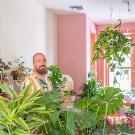 A store filled with green plants