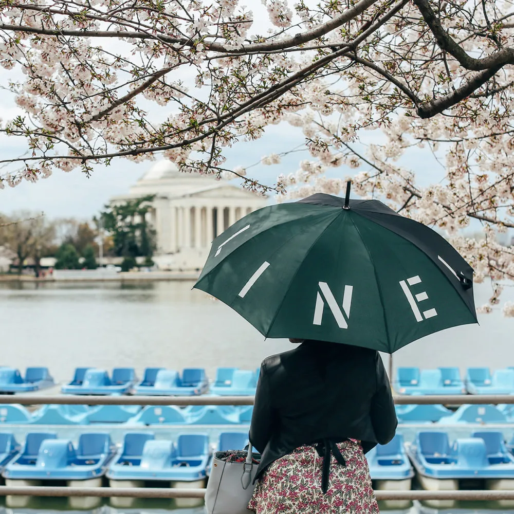 Person with LINE umbrella facing Jefferson Memorial across cherry blossom-framed waterfront with docked paddle boats