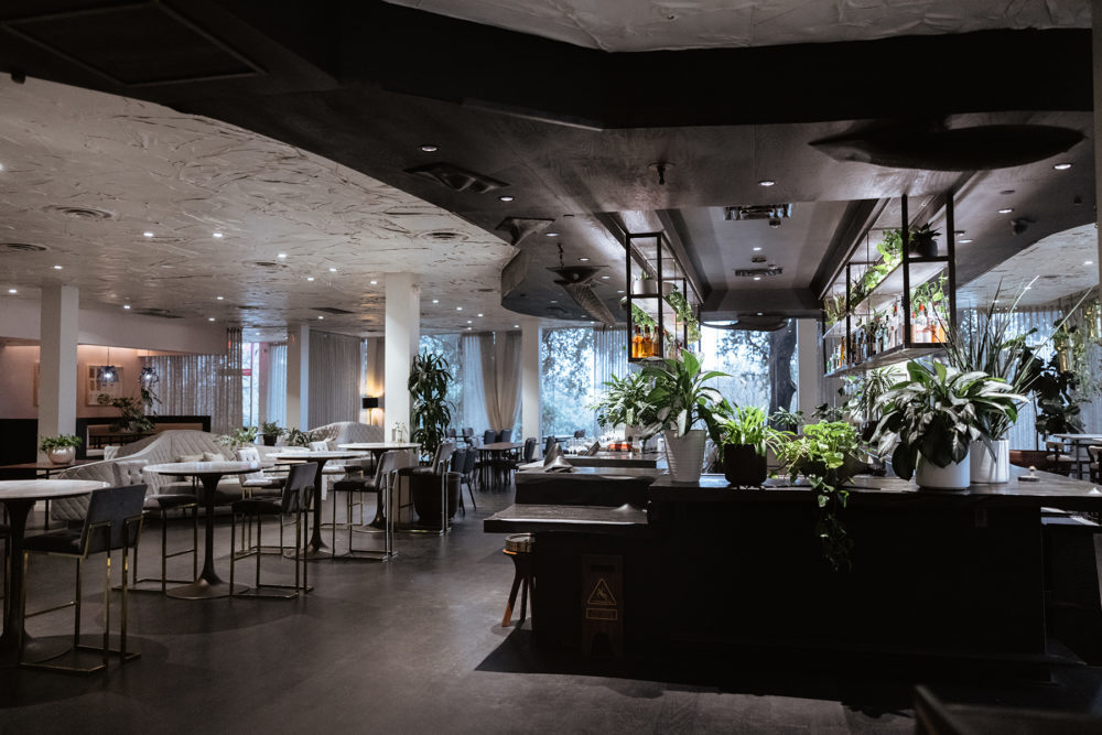Picture of a big hall with dining tables plant pots and beautiful lighting