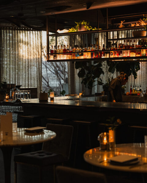 Dimly lit, upscale bar area with a bartender behind the counter and illuminated shelves of liquor bottles.