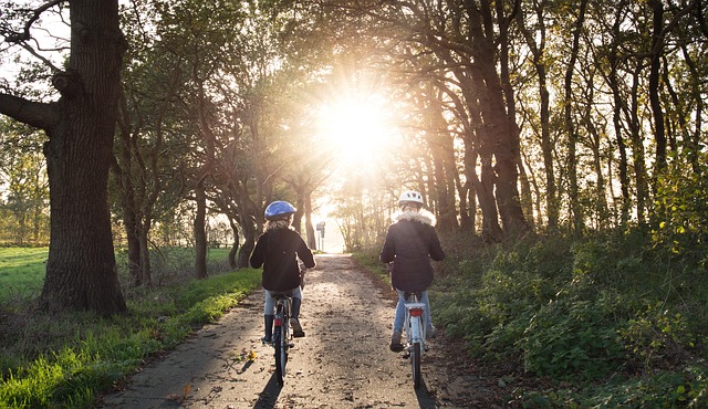 Two cyclists riding along a sunlit trail through the trees
