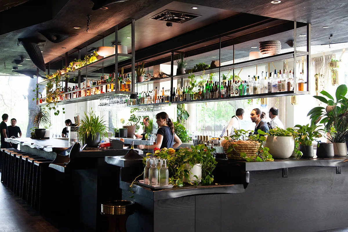 Bar interior at Arlo Grey with hanging liquor shelf, lush plants, and patrons in sunlit modern space